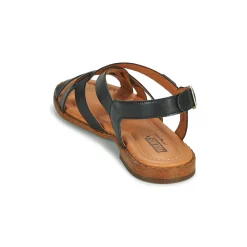 Pikolinos - ALGAR W0X