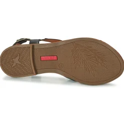 Pikolinos - ALGAR W0X