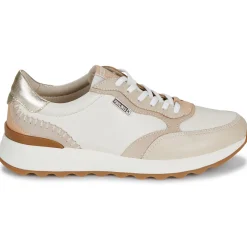 Pikolinos - ARRECIFE W1M