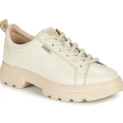 Pikolinos - ASTURIAS