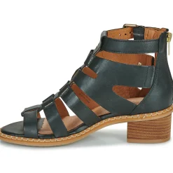 Pikolinos - BLANES W3H