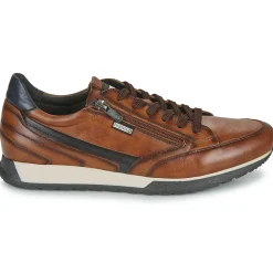 Pikolinos - CAMBIL M5N