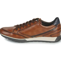 Pikolinos - CAMBIL M5N