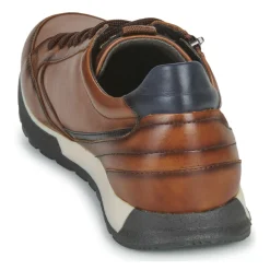 Pikolinos - CAMBIL M5N