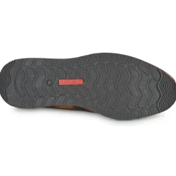 Pikolinos - CAMBIL M5N