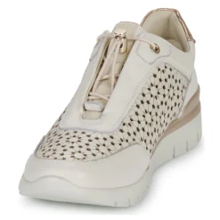 Pikolinos - CANTABRIA