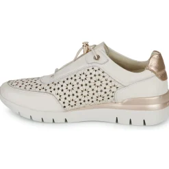 Pikolinos - CANTABRIA