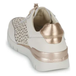 Pikolinos - CANTABRIA