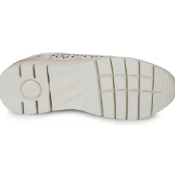 Pikolinos - CANTABRIA