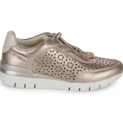 Pikolinos - CANTABRIA