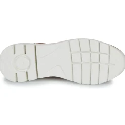 Pikolinos - CANTABRIA W4R