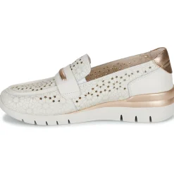 Pikolinos - CANTABRIA W4R