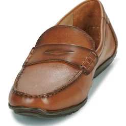 Pikolinos - CONIL M1S