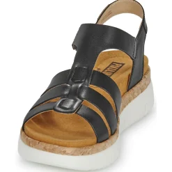 Pikolinos - PALMA W4N