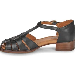 Pikolinos - VALENCIA W7D