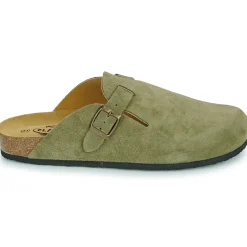 Plakton - BLOG AFELPADO