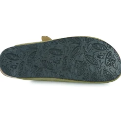 Plakton - BLOG AFELPADO