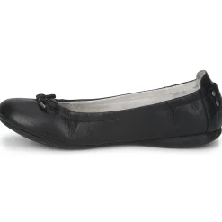 PLDM by Palladium - MOMBASA CASH