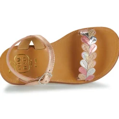 Pom d'Api - PLAGETTE FERNS