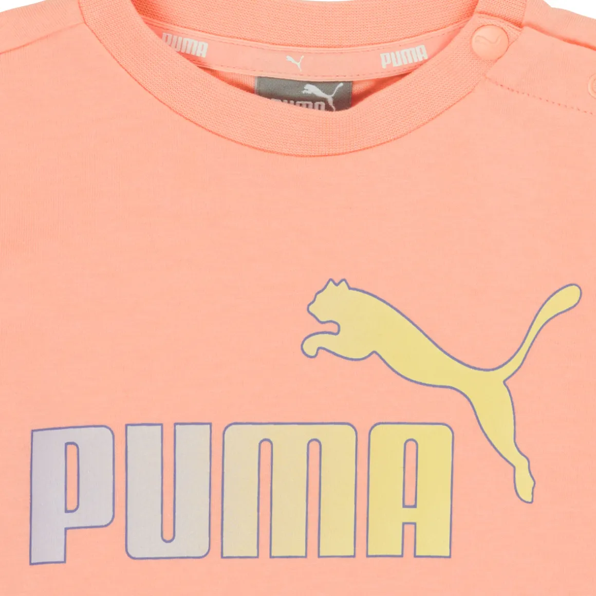 Puma - BB SET ABRI