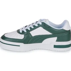 Puma - CA PRO