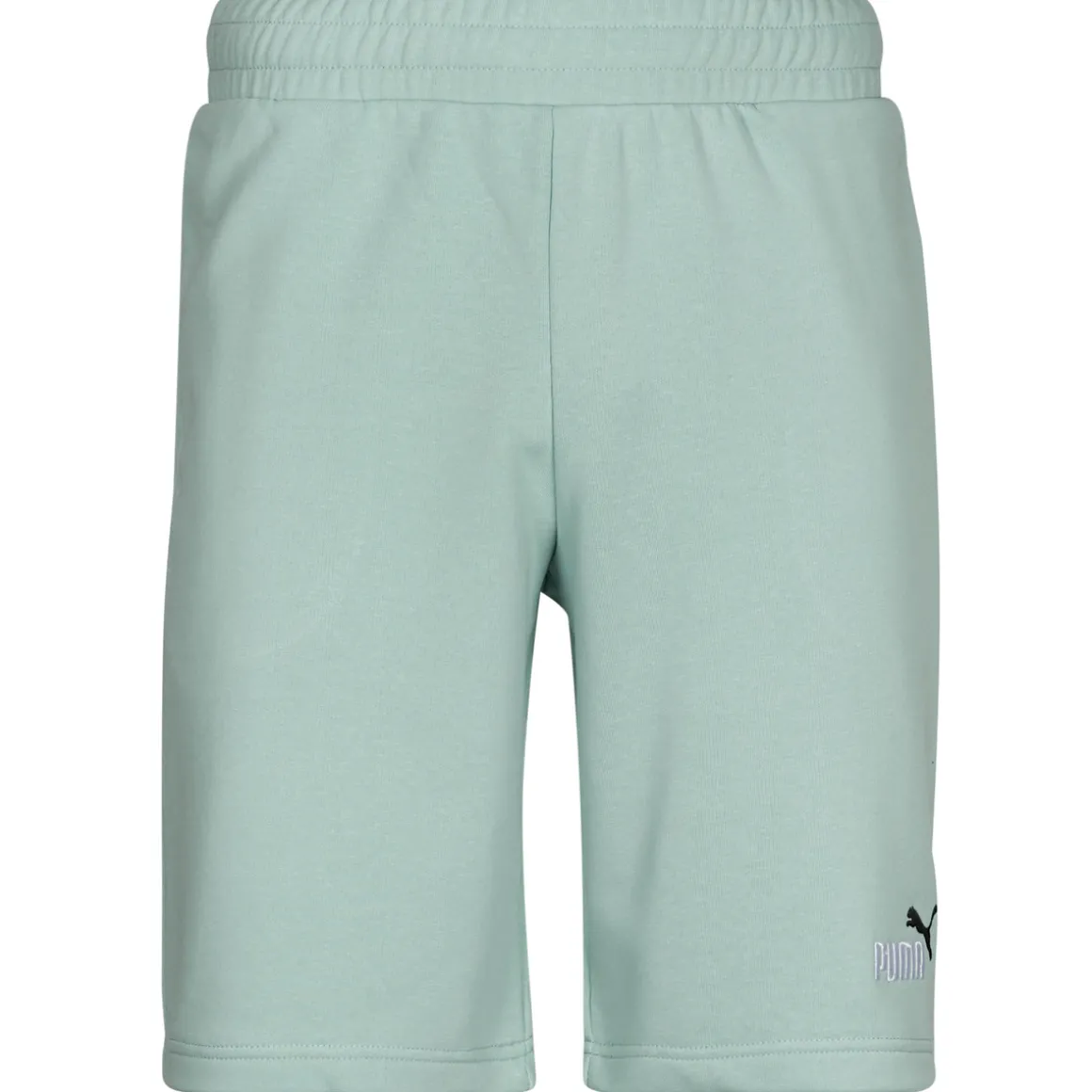 Puma - ESS 2 COLOR LOGO SHORT