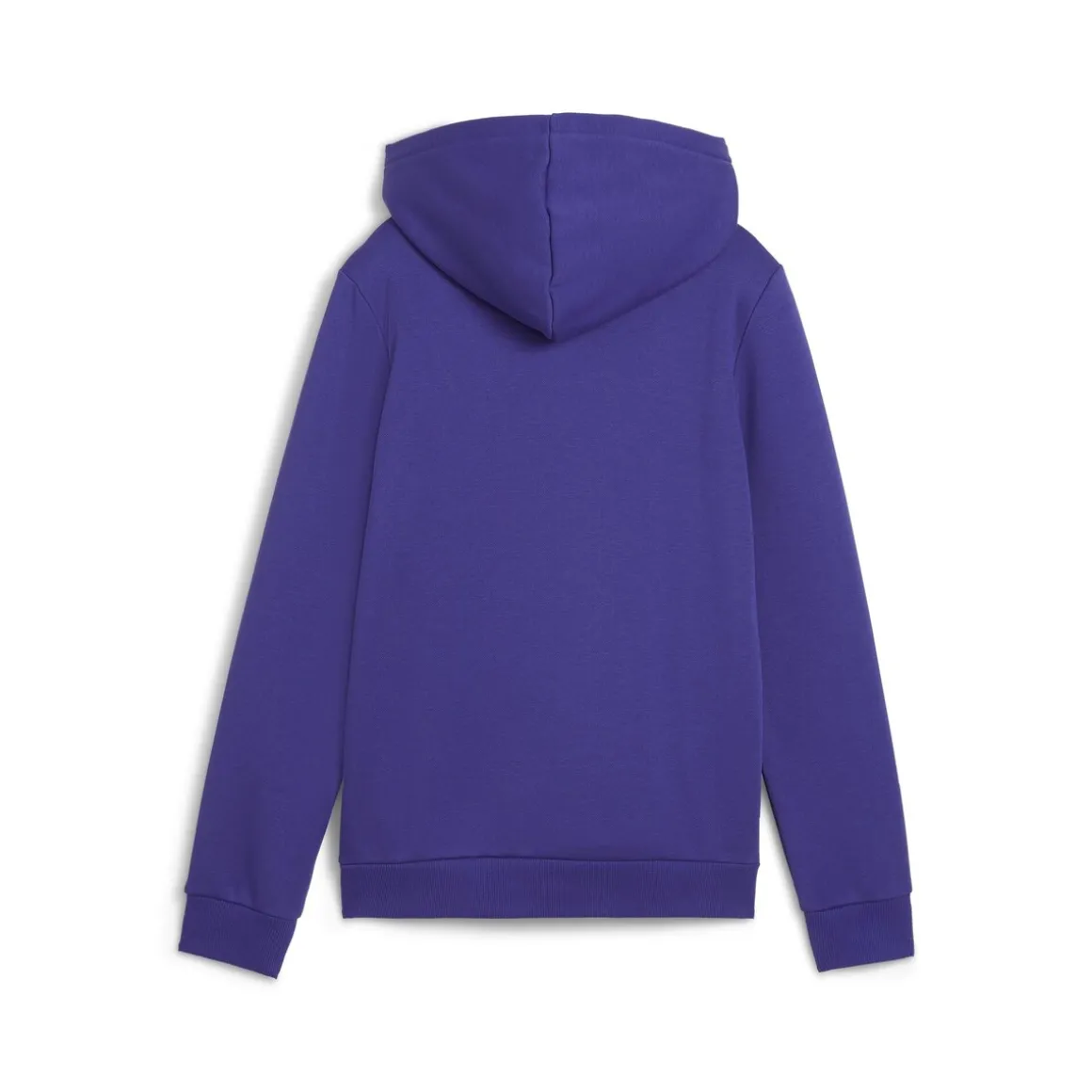 Puma - ESS+ CAMO HOODIE FL