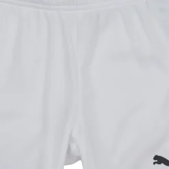 Puma - TEAMRISE SHORT