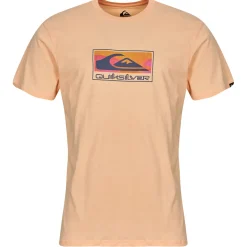 Quiksilver - EV GRADIENT BOX SS