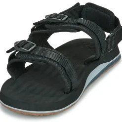 Quiksilver - MONKEY CAGED A/T