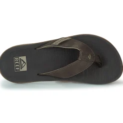 Reef - REEF SANTA ANA