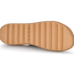 Reef - WATER VISTA HIGHER