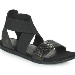 Regard - BONNO V1 BOA BRONZE