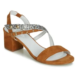 Regard - REFTA V1 ANTE CAMEL