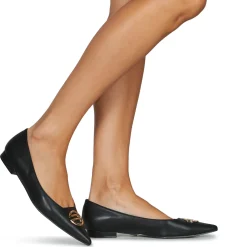 Replay - PERRY NIGHT