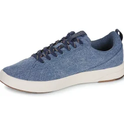 Saola - CANNON CANVAS 2.0