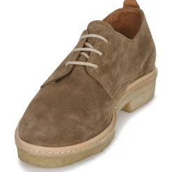 Schmoove - LIAM DERBY