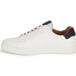 Schmoove - SPARK CLAY