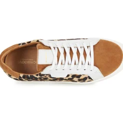 Schmoove - SPARK CLAY W