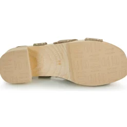 Scholl - PESCURA CATE