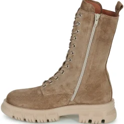 Semerdjian - E666-E2-CAM-CORDA