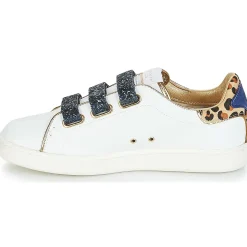 Serafini - J.CONNORS