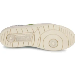 Serafini - SAN DIEGO