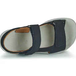 Shoo Pom - GOA BOY SCRATCH