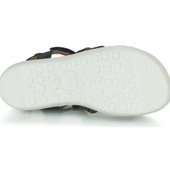 Shoo Pom - GOA SPART