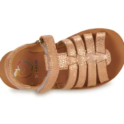 Shoo Pom - GOA SPART