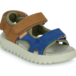 Shoo Pom - ROLLY BOY SCRATCH