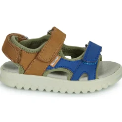 Shoo Pom - ROLLY BOY SCRATCH