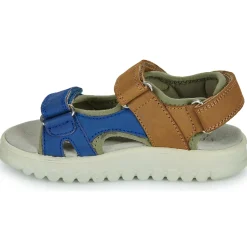 Shoo Pom - ROLLY BOY SCRATCH