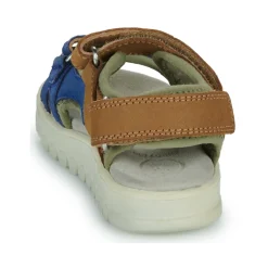 Shoo Pom - ROLLY BOY SCRATCH